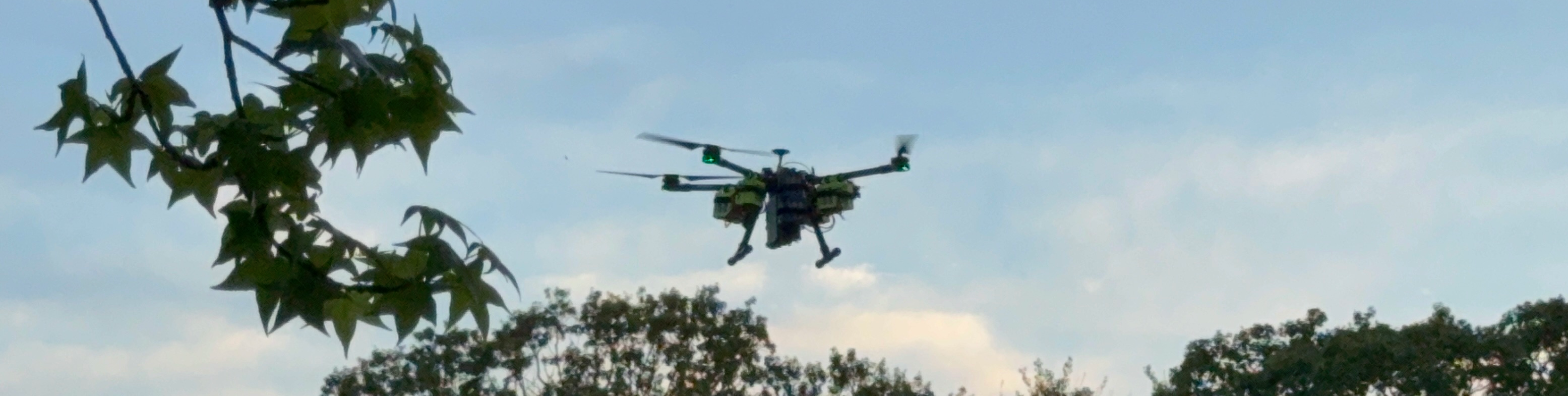 Sparrow during a mission flight